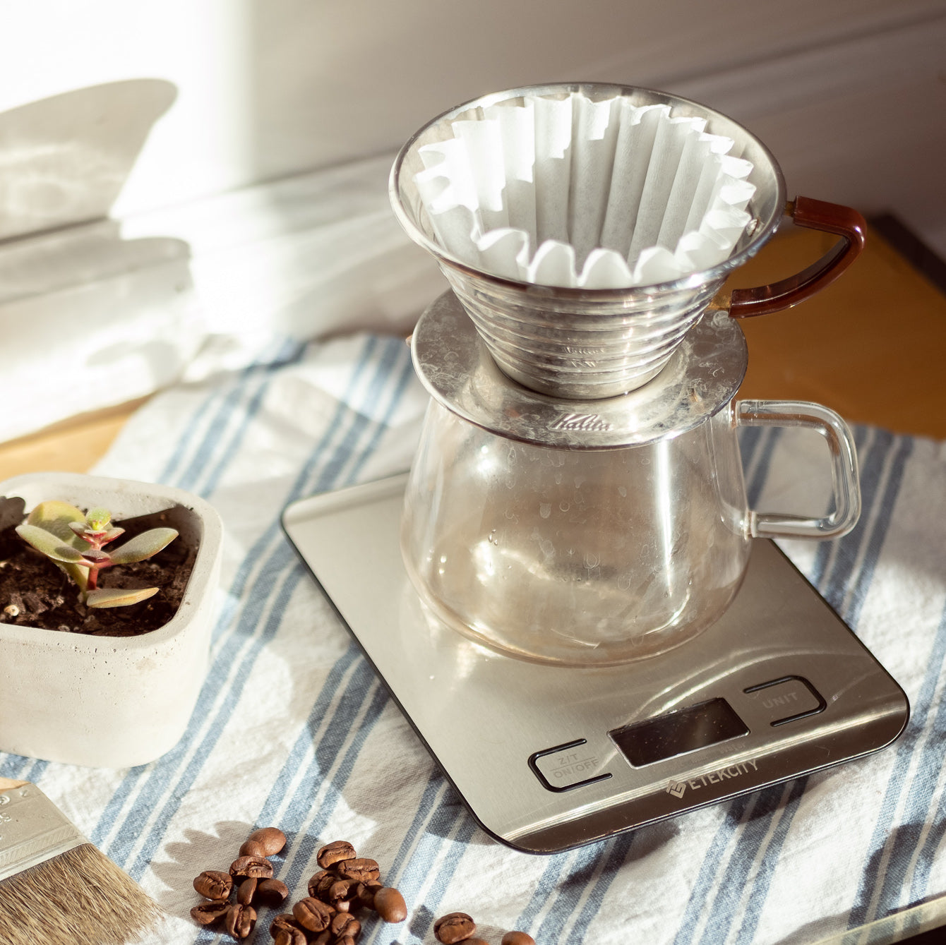 Hario V60 Pour-over Coffee Guide for Beginners