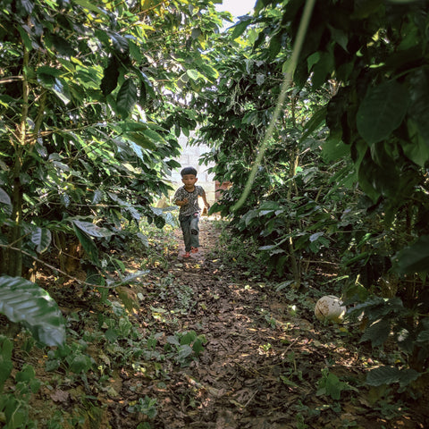 Loose Leaves, Open Ends - Part II