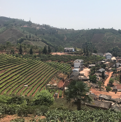 Loose Leaves, Open Ends - Part I