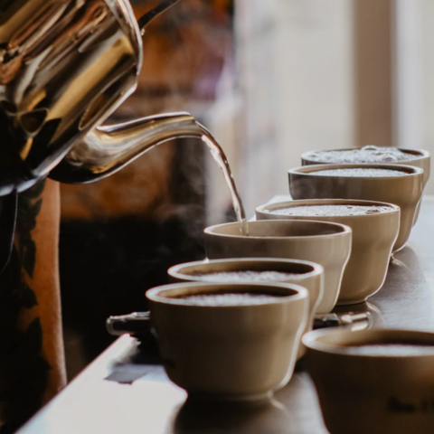 Roundtable: The Origins of Coffee at Wesley Andrews