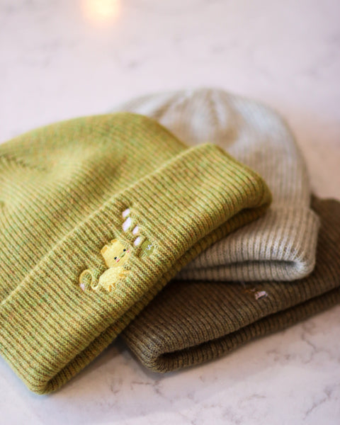 Shapes & Sizes Embroidered Beanie